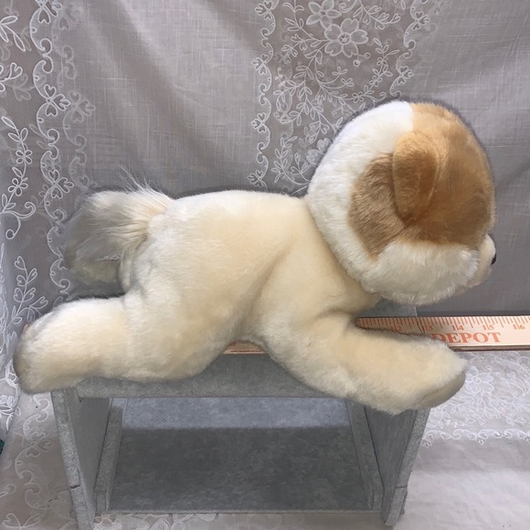 Gund Boo The World's Cutest Dog plush stuffed animal Pomeranian 15" - Picture 2 of 8